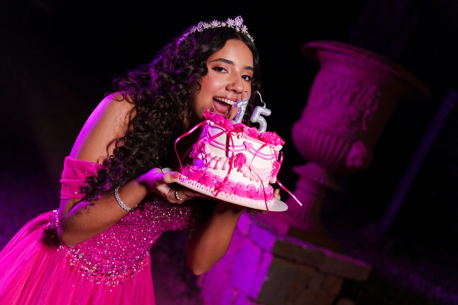Lara — momentos da festa